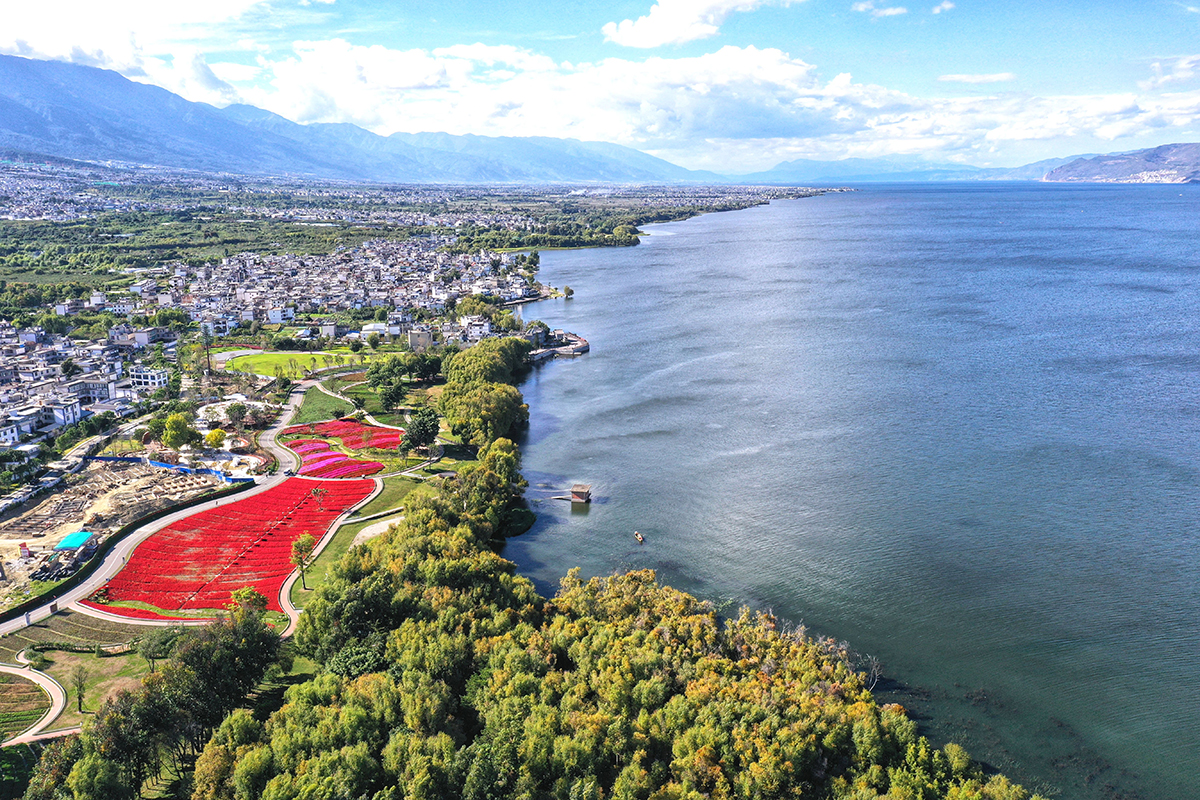 洱海生态廊道项目